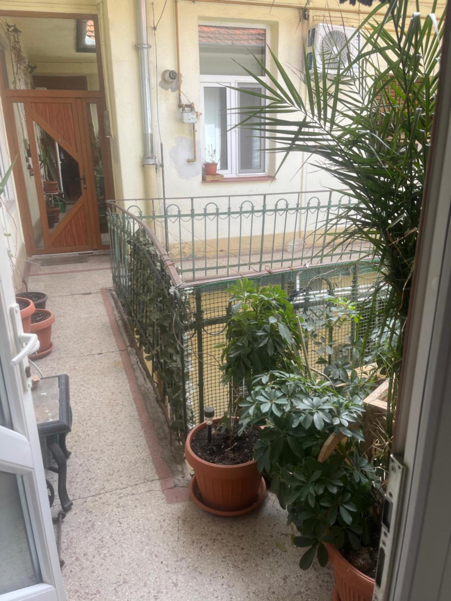 Sia'S Home Oradea Ngoại thất bức ảnh